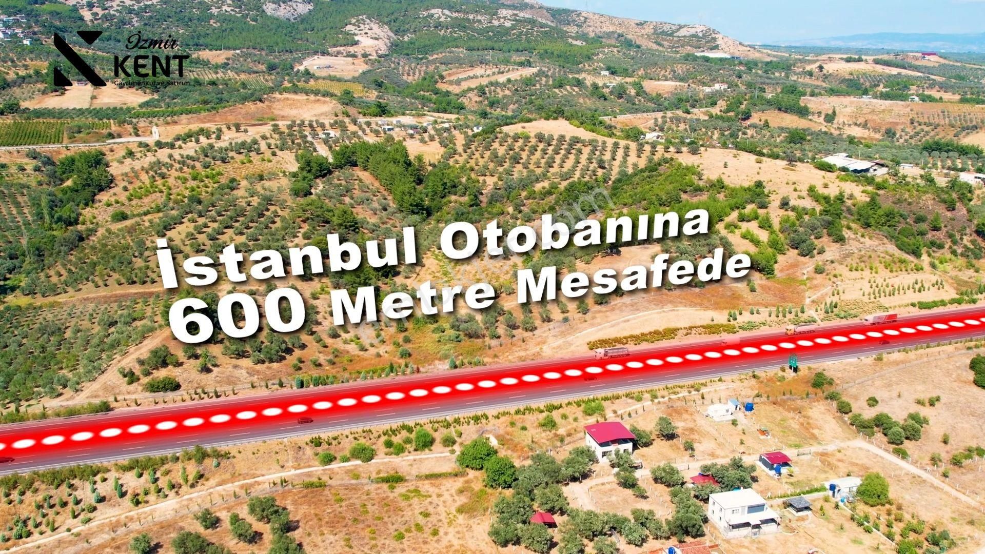 Kemalpaşa Armutlu 85.yıl Ankara Asfaltına Cepheli Satılık 1408 M2 Bahçe - Görsel 9