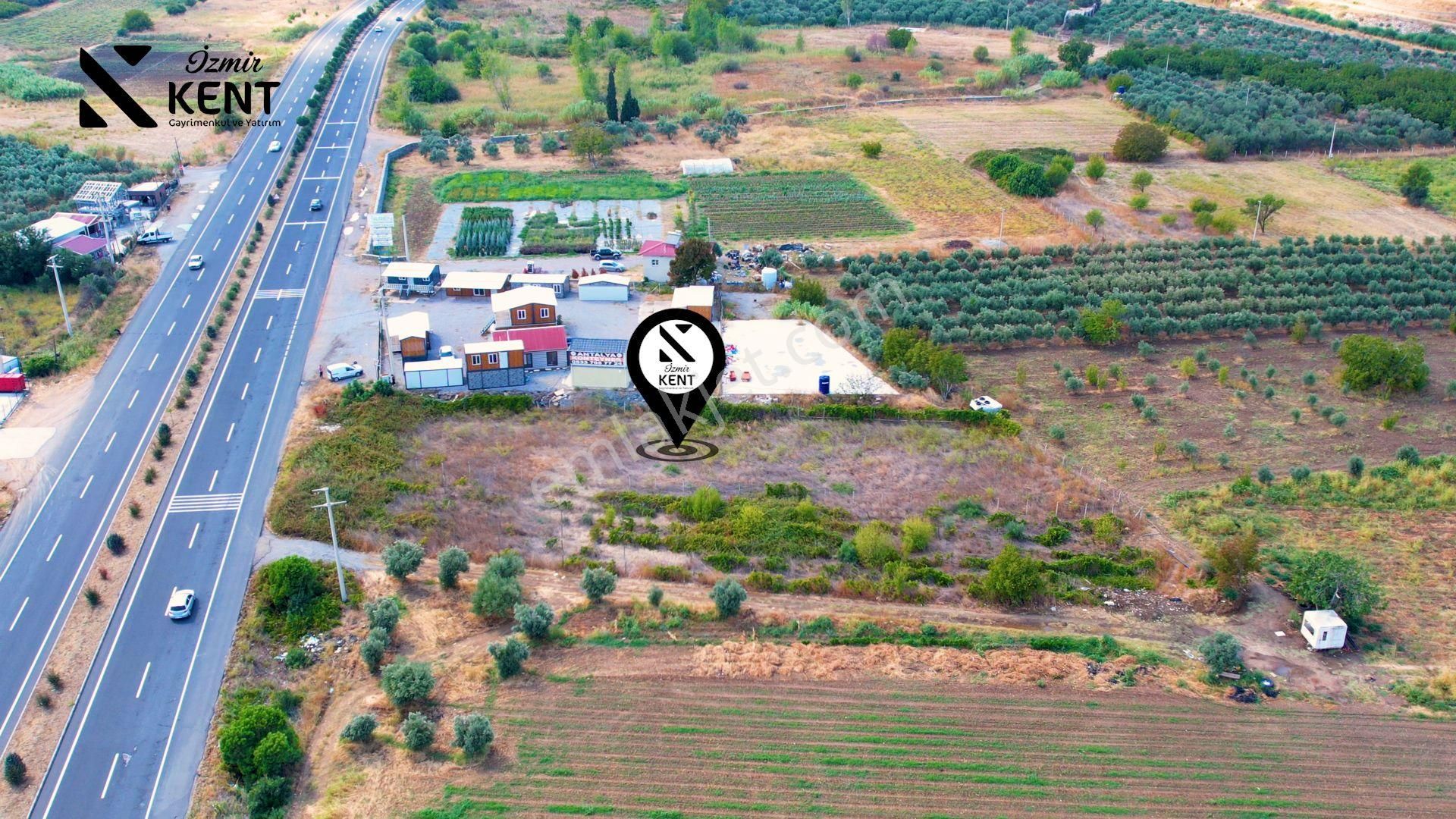 Kemalpaşa Armutlu 85.yıl Ankara Asfaltına Cepheli Satılık 1408 M2 Bahçe - Görsel 16