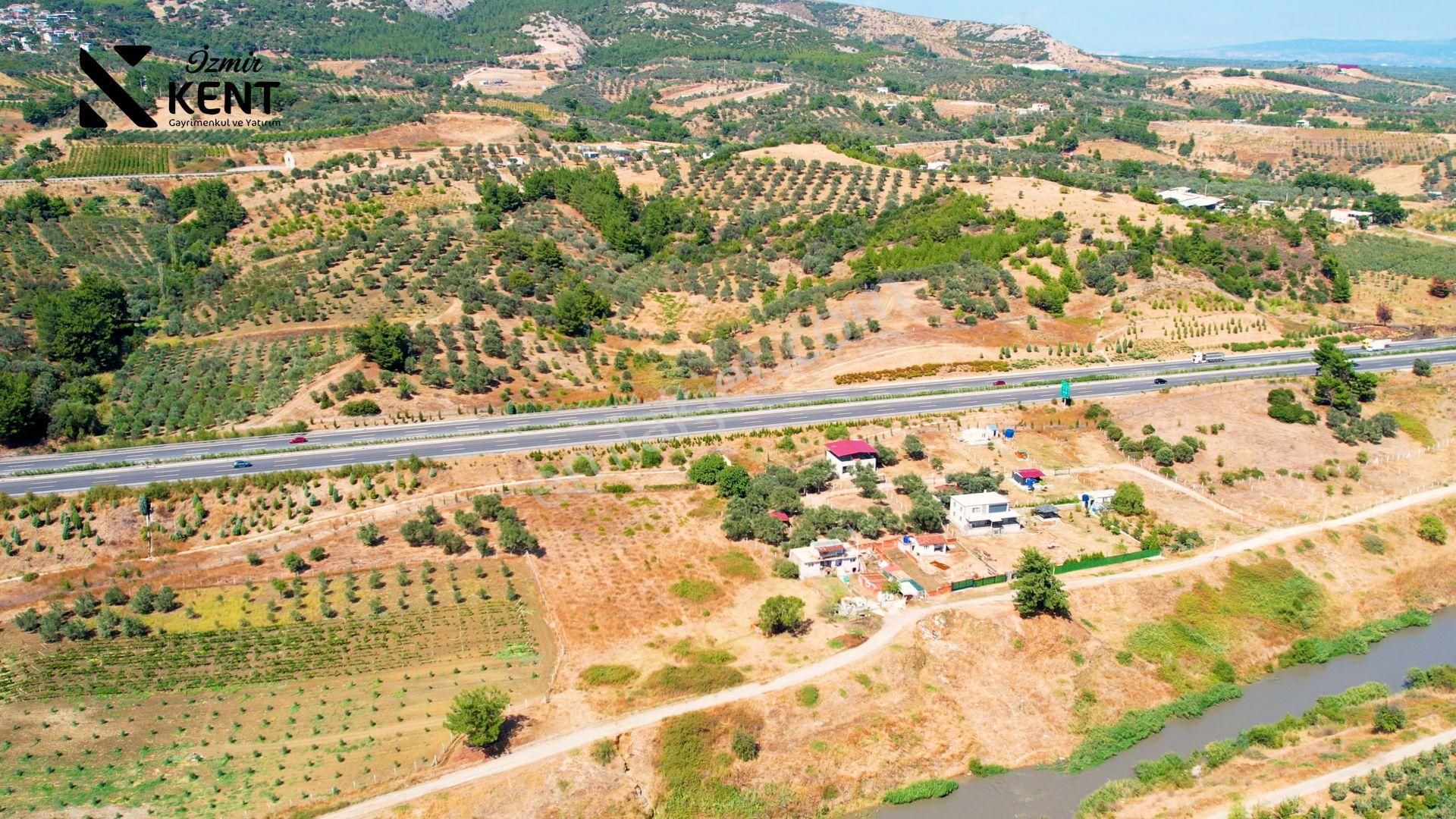 Kemalpaşa Armutlu 85.yıl Ankara Asfaltına Cepheli Satılık 1408 M2 Bahçe - Görsel 8