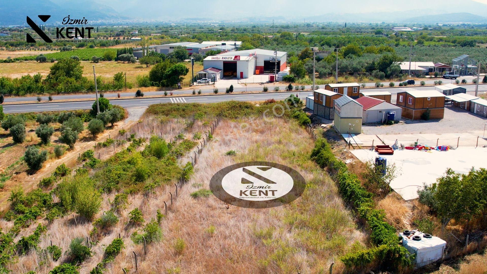 Kemalpaşa Armutlu 85.yıl Ankara Asfaltına Cepheli Satılık 1408 M2 Bahçe - Görsel 20