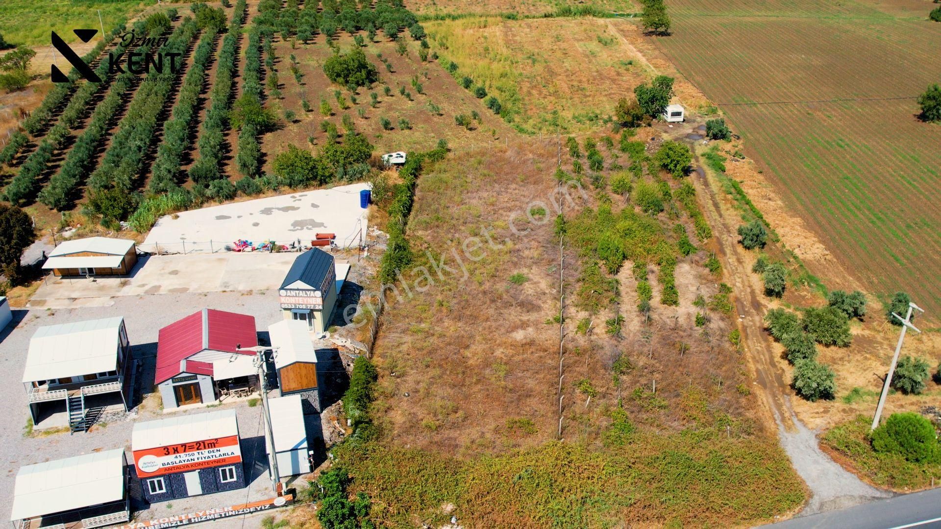 Kemalpaşa Armutlu 85.yıl Ankara Asfaltına Cepheli Satılık 1408 M2 Bahçe - Görsel 4