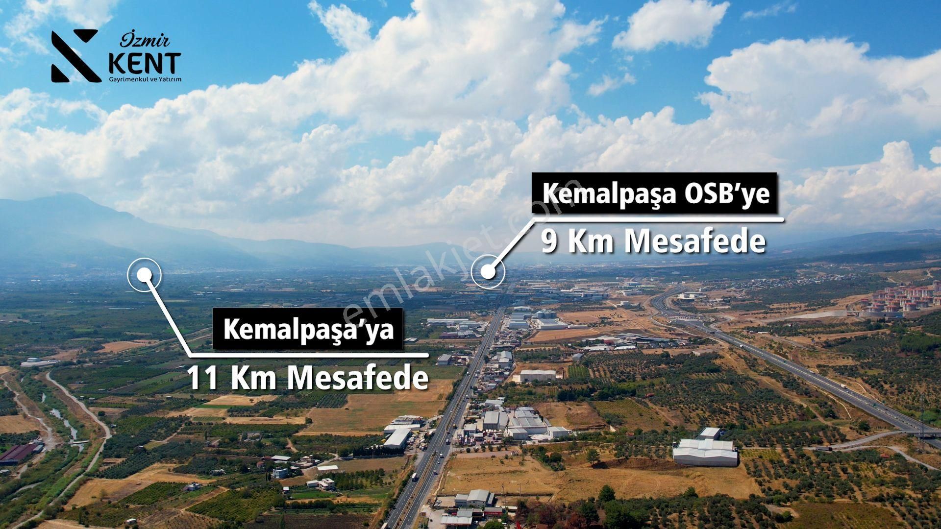 Kemalpaşa Armutlu 85.yıl Ankara Asfaltına Cepheli Satılık 1408 M2 Bahçe - Görsel 15