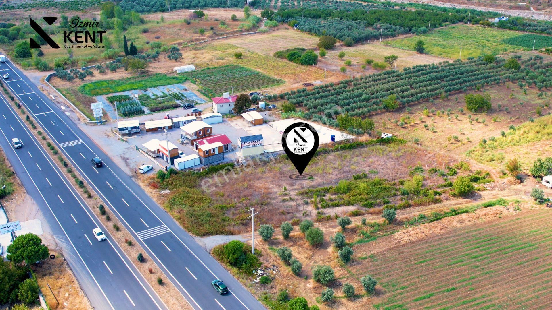 Kemalpaşa Armutlu 85.yıl Ankara Asfaltına Cepheli Satılık 1408 M2 Bahçe - Görsel 19