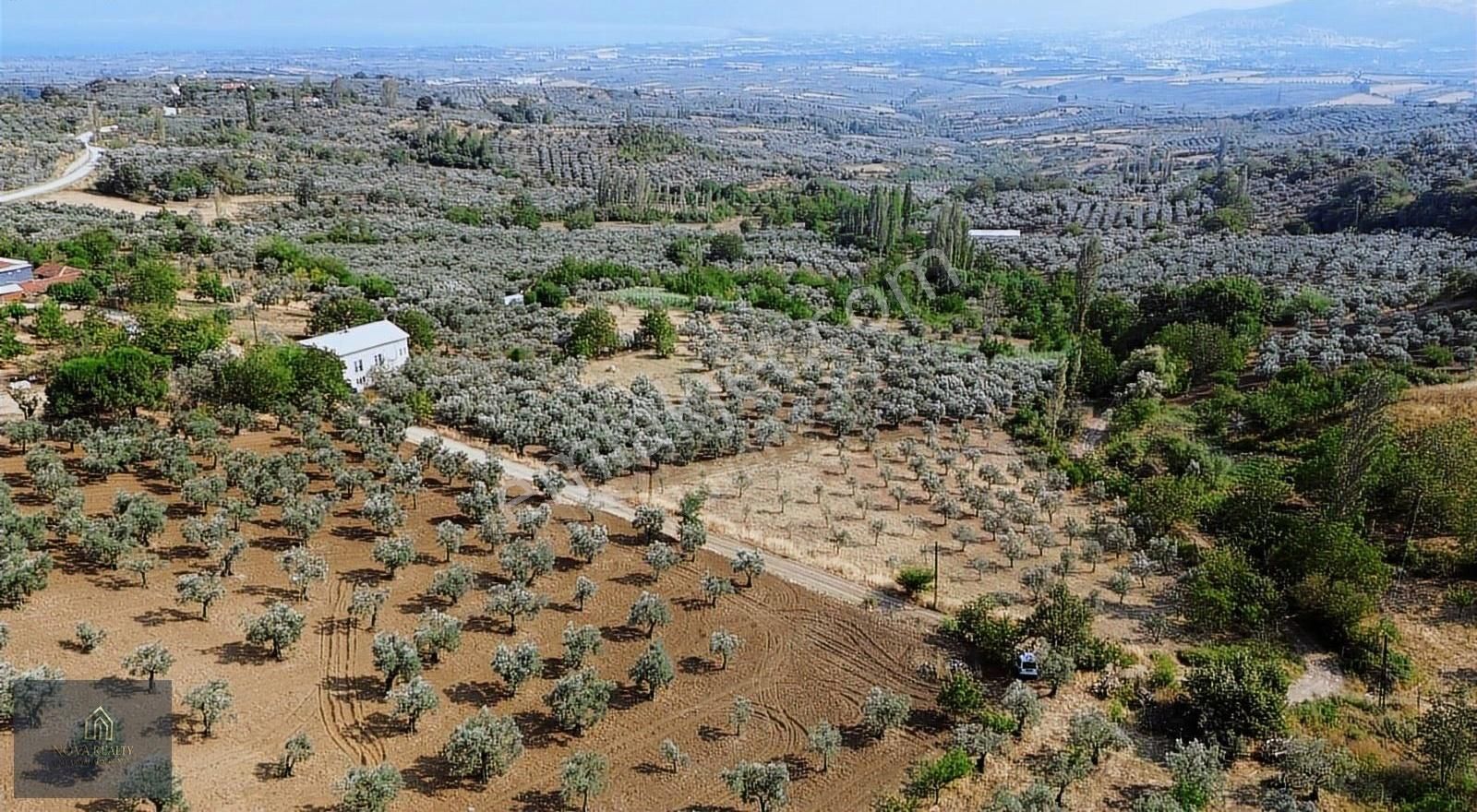 Nova Realty'den Ortaköy'de Villa İmarlı Arsa - Görsel 5