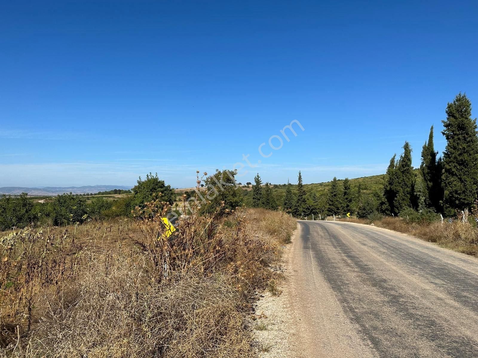Bursa Yenişehir Akbıyık Satılık Arazi