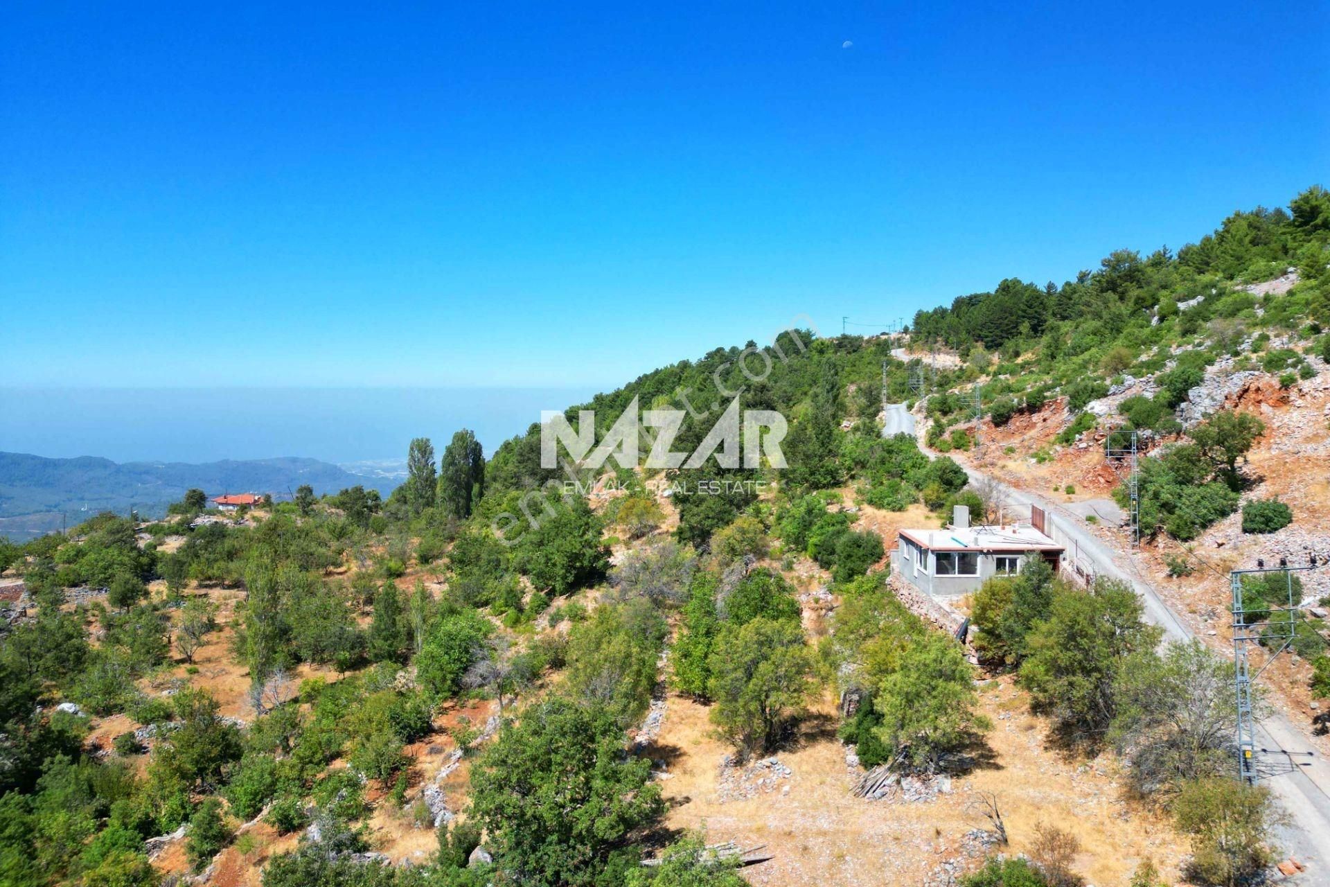 Alanya Mahmutseydi’de 3.929 M² Satılık Tarla - Görsel 11