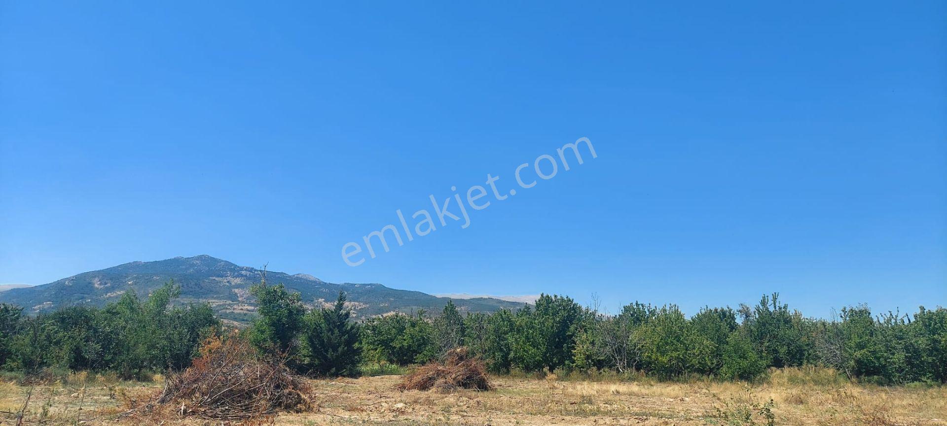 Bizim Emlak'tan Atakent'te Soğuk Hava Deposu Altında 4.343 M² Tarla - Görsel 10