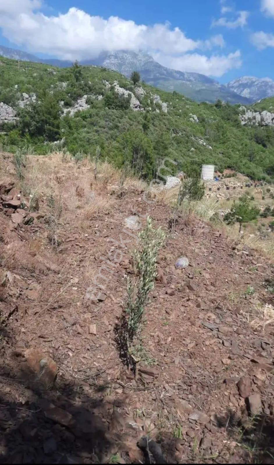 Alanya Demirtaş Tırılar Mahallesi’nde Satılık Hafriyatı Yapılmış 2800 Metrekare Tarla - Görsel 10
