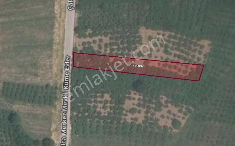 Kandıra Çalca’da Ana Yola 11 M. Cepheli 1180 M2 Fındıklık