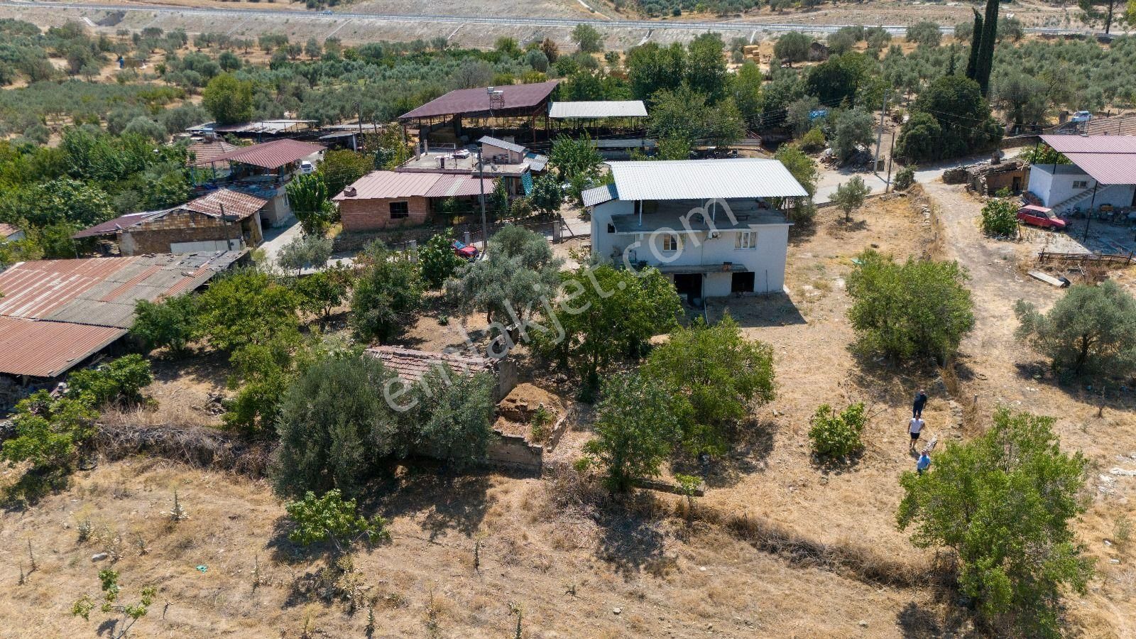 686 Mescitli Mahallesinde Satılık 2 Katlı Evi Olan Zeytinlik Ve İncir Bahçesi - Görsel 5
