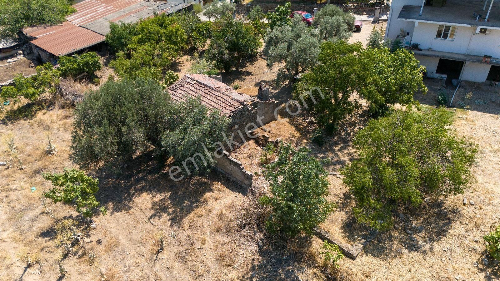 686 Mescitli Mahallesinde Satılık 2 Katlı Evi Olan Zeytinlik Ve İncir Bahçesi - Görsel 8