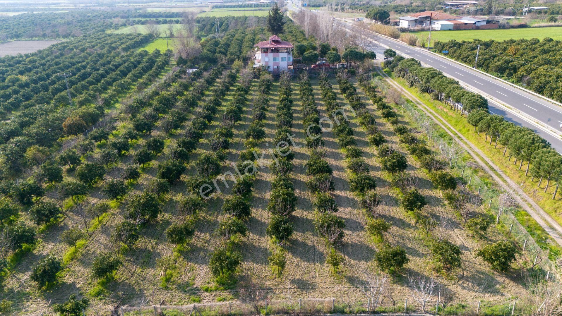 Kuyucak Çobanisa Mah De Satılık Devlet Kara Yolu Üzerinde Satılık Bahçe - Görsel 2
