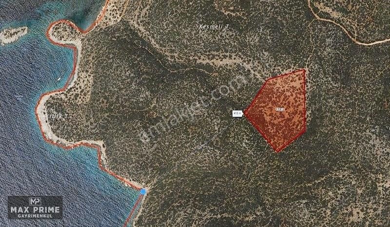 Kaş'ta Eşi Benzeri Yok! 34.150 M² Doğayla İç İçe, Denize Komşu - Görsel 5