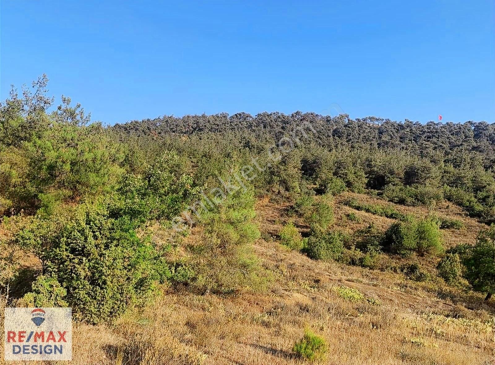 Remax Desıgn Pamukova Doğa Manzaralı Satılık Tarla - Görsel 5