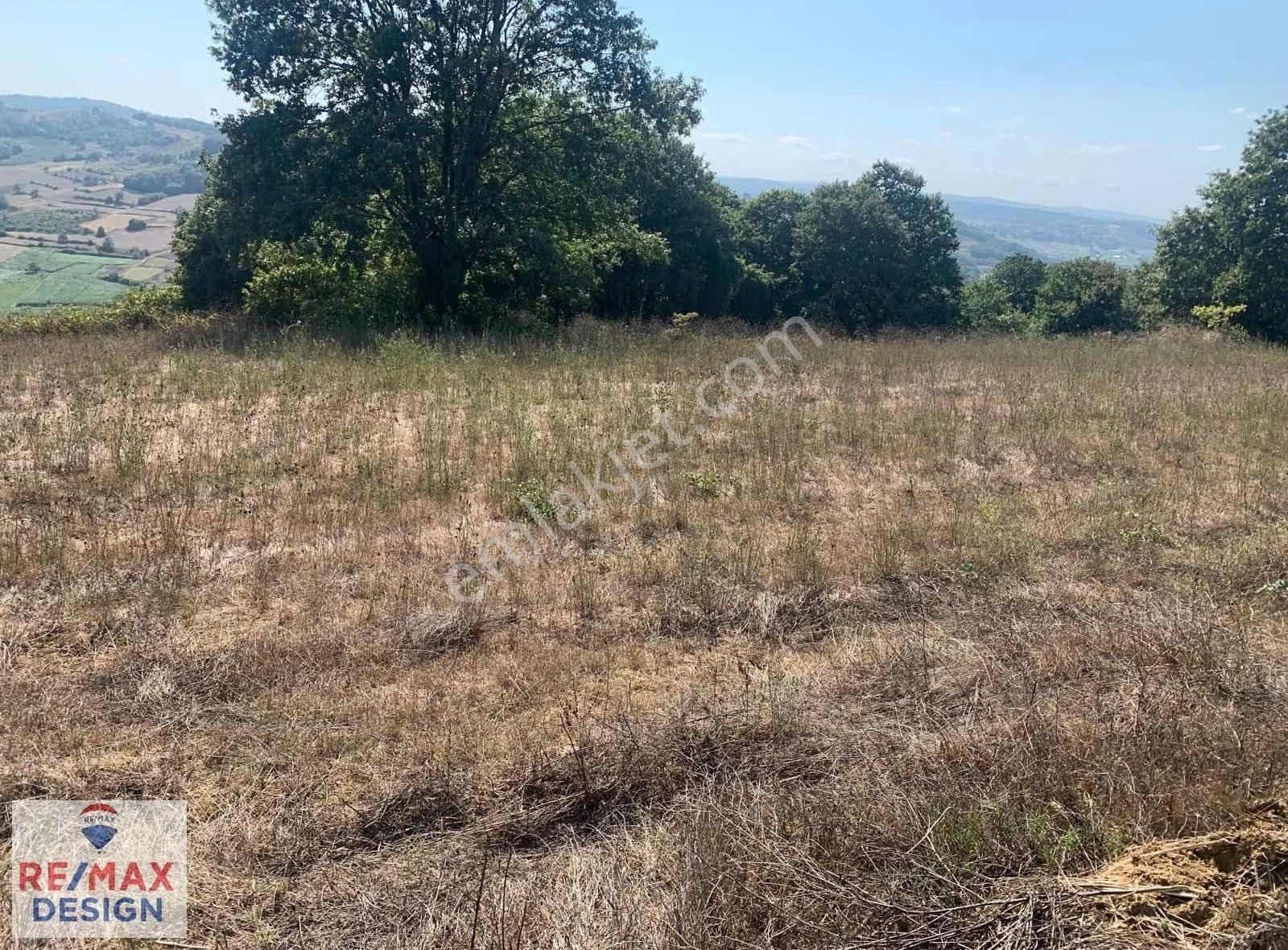 Remax Desıgn Kaynarcada Satılık Tarla - Görsel 3
