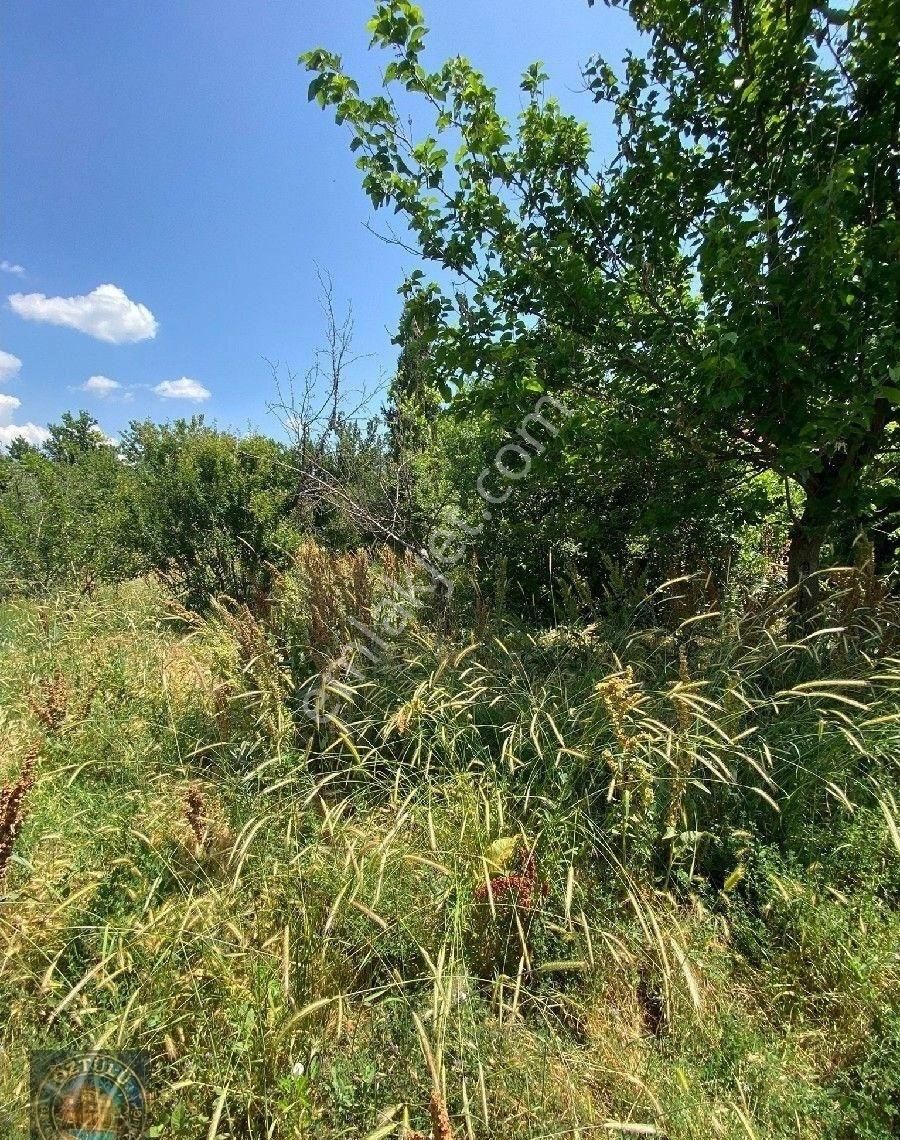 Öztülü Emlak'dan:burdur Gölhisar İbecikte Yerleşim İçi Tadilat İhtiyaçlı Müstakil Ev - Görsel 9