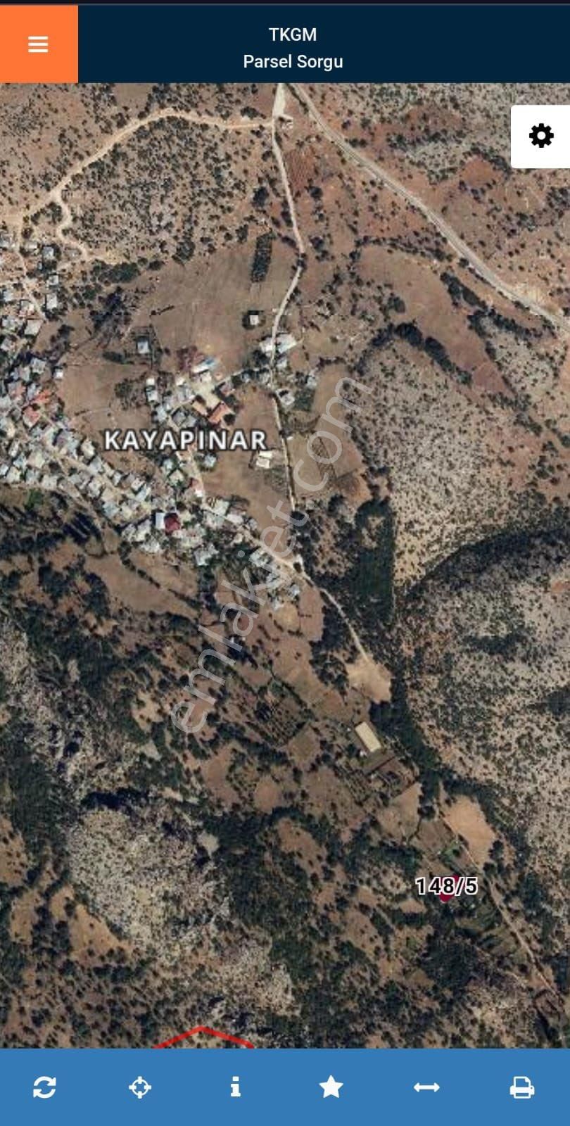 Yatırımlık Ve Verimli Bahçe - Görsel 3