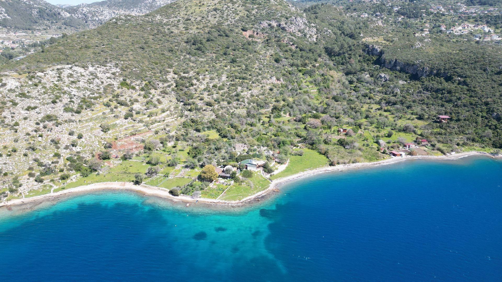 Joker: Söğüt Denize 30 Adım Yakınlıkta Mükemmel Koyda Satılık Tarla - Görsel 2