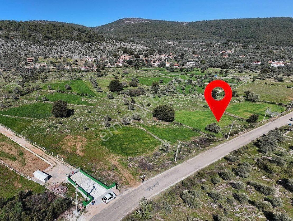 Milas Kalınağıl’da Yatırımlık 2.950 M² Tarla – Ana Yola Cepheli