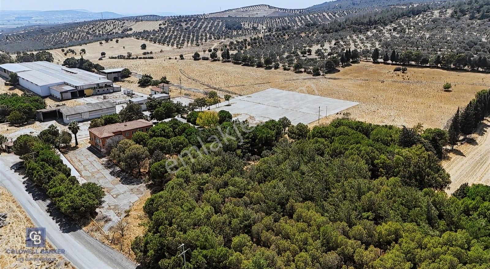 Foça Ilıpınar'da Sanayi Ve Depo İmarlı 74.159 M2 Satılık Arsa - Görsel 12