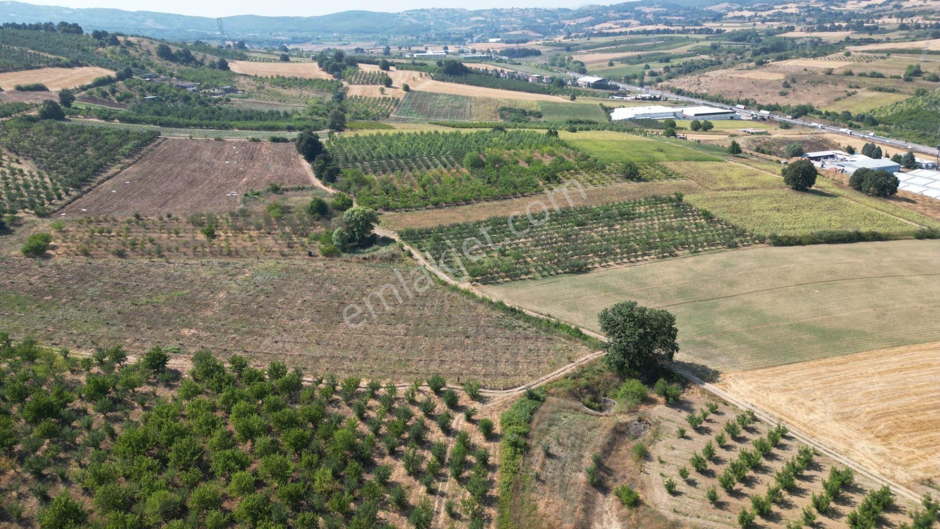 İnegöl Alanyurt Siteler Dibinde 160m2 İmarlı Arsa - Görsel 7