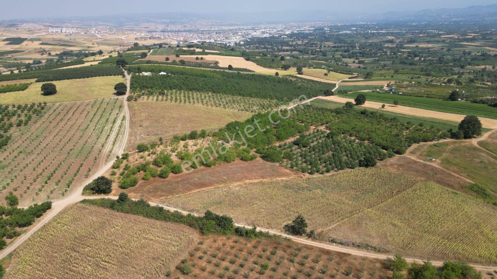 İnegöl Alanyurt Siteler Dibinde 160m2 İmarlı Arsa - Görsel 10
