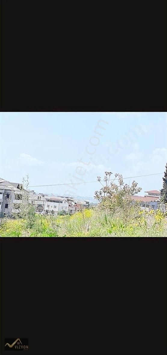 Cami Mh De Ferhat Yağcı'dan 1100 M2 Deniz Manzaralı Zeytiinlik