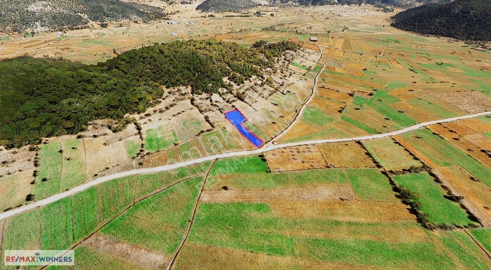 Burdur Ağlasun'da Ceviz Ağaçlı Satılık Tarla - Görsel 3