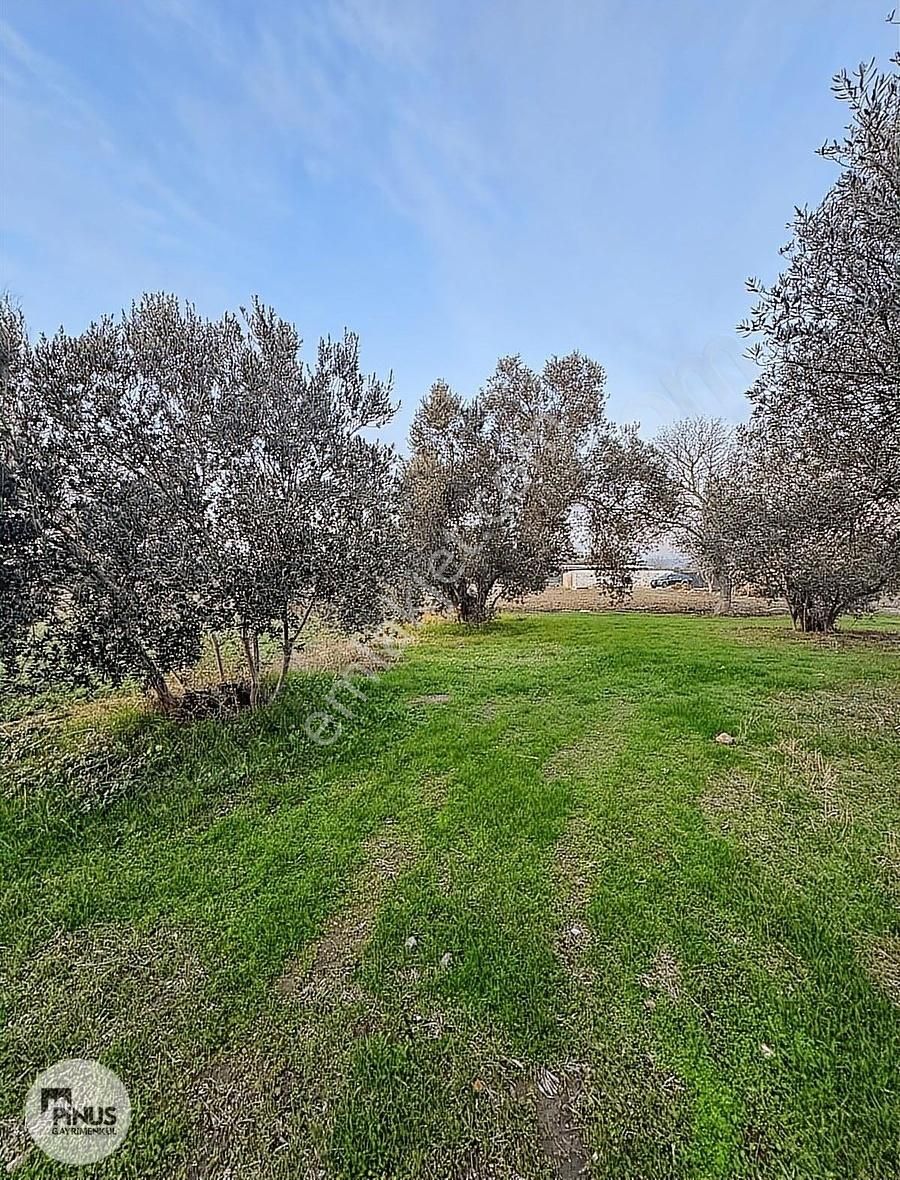 Pinus Gayrimenkulden//bergama Ayasköyde Yatırımlık İmarlı Arazi - Görsel 9
