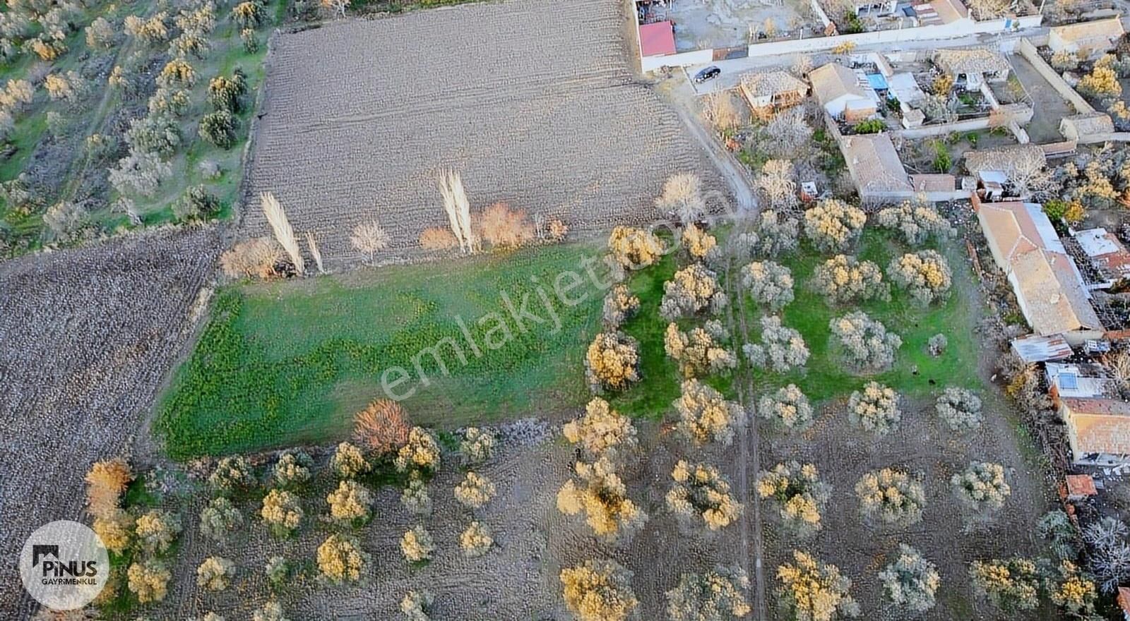 Pinus Gayrimenkulden//bergama Ayasköyde Yatırımlık İmarlı Arazi - Görsel 11