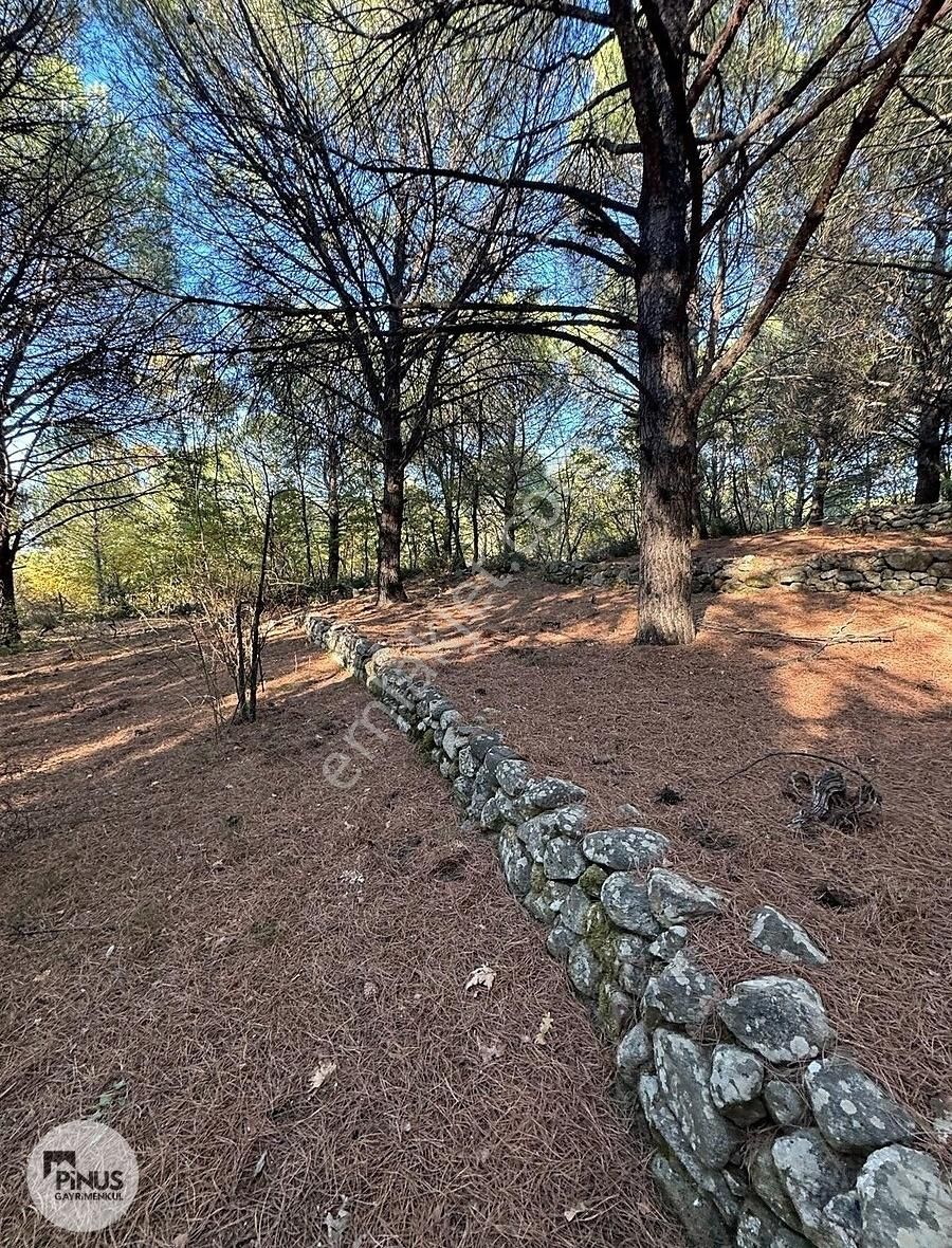 Pinus Gayrimenkul'den//kozak Karaveliler'de 5.512 M² Fıstıklık - Görsel 15