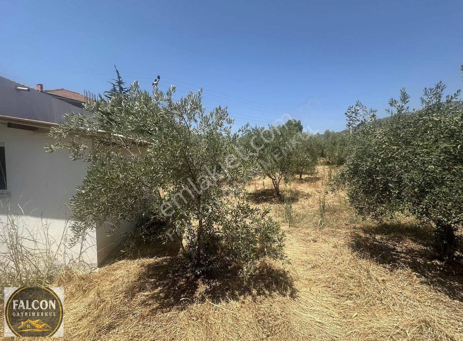 Falcon Dan Eldirekte Fırsat 533 M2 Arsa - Görsel 2
