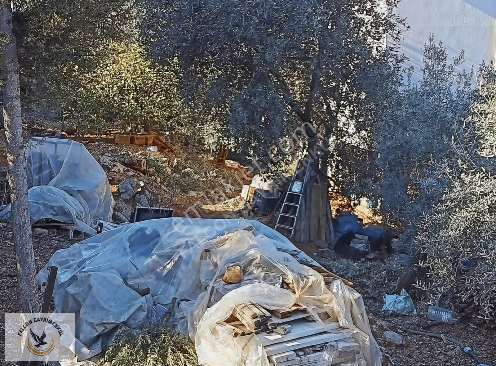 Falcon Dan Çalıca Da 25/75 İmarlı Fırsat Arsa - Görsel 5