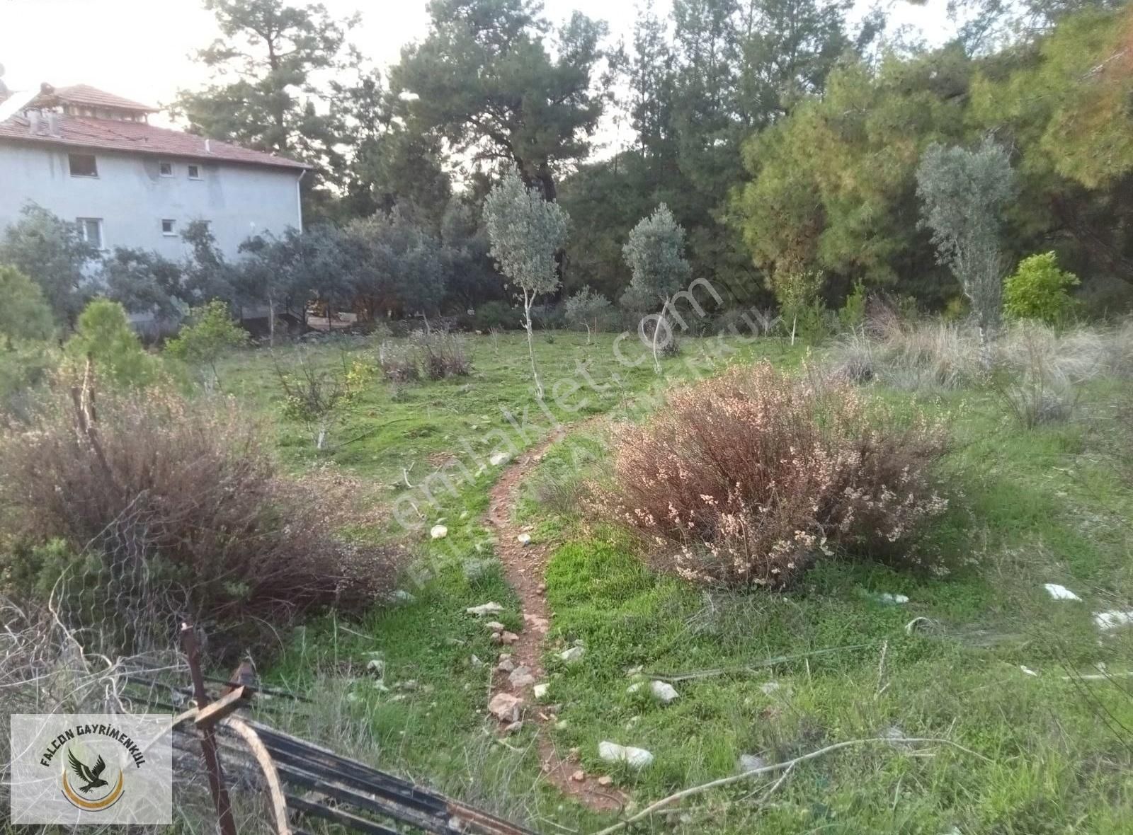 Falcon Dan Çiftlikte 940m²fırsat Arsa - Görsel 2
