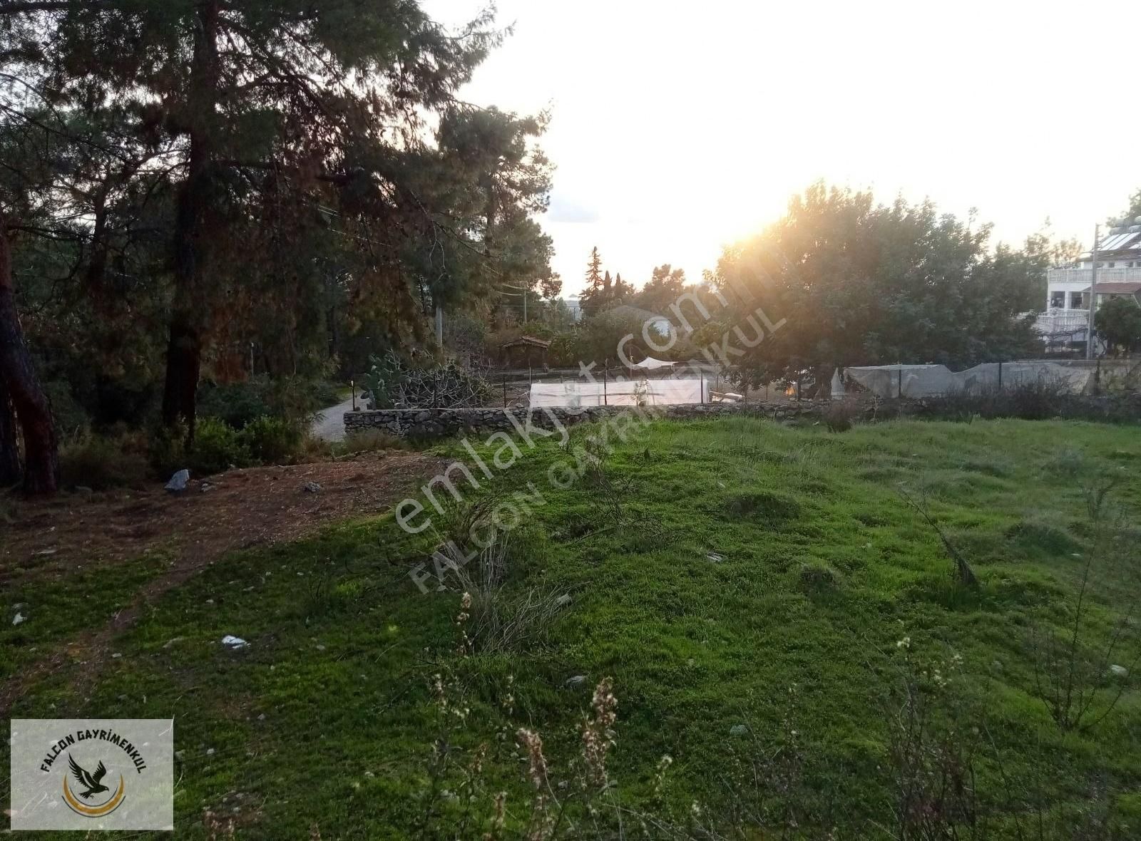 Falcon Dan Çiftlikte 940m²fırsat Arsa - Görsel 8