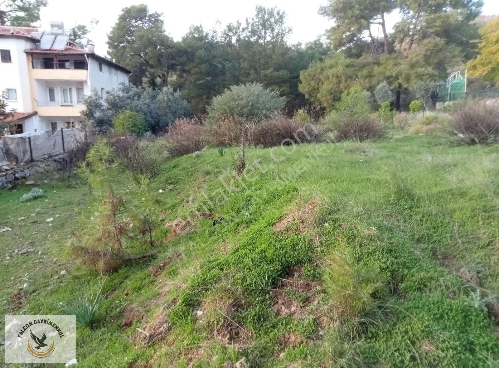 Falcon Dan Çiftlikte 940m²fırsat Arsa