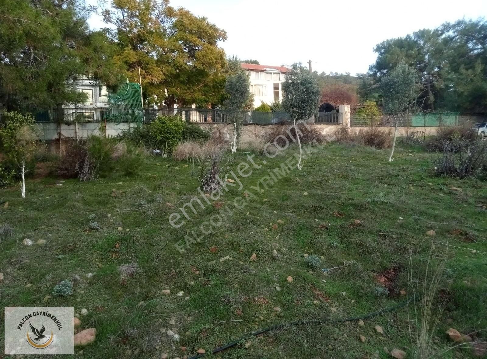 Falcon Dan Çiftlikte 940m²fırsat Arsa - Görsel 4