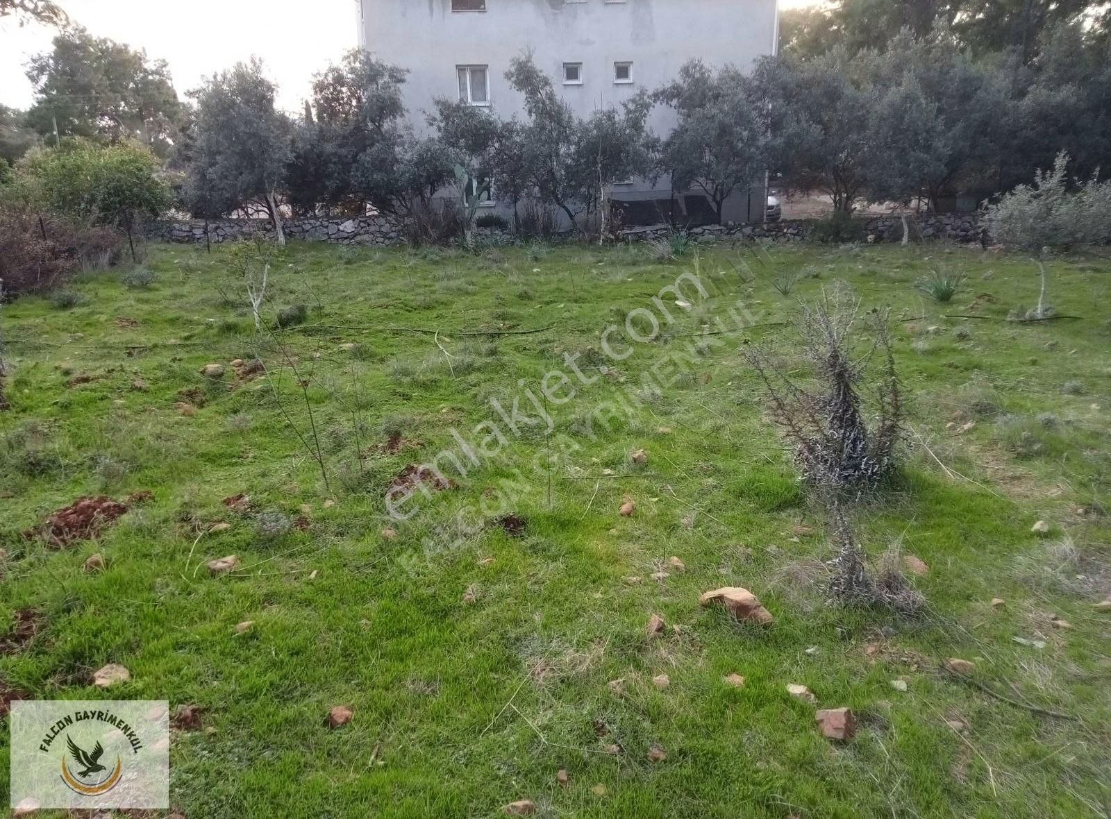 Falcon Dan Çiftlikte 940m²fırsat Arsa - Görsel 9