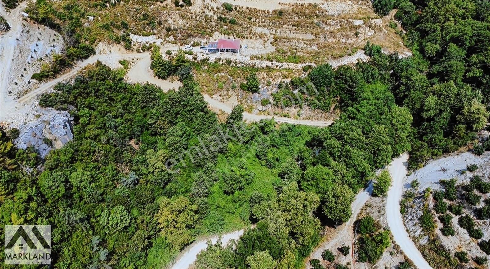 Alanya Akçatı Mahallesi Satılık Geniş Tarla - Görsel 4