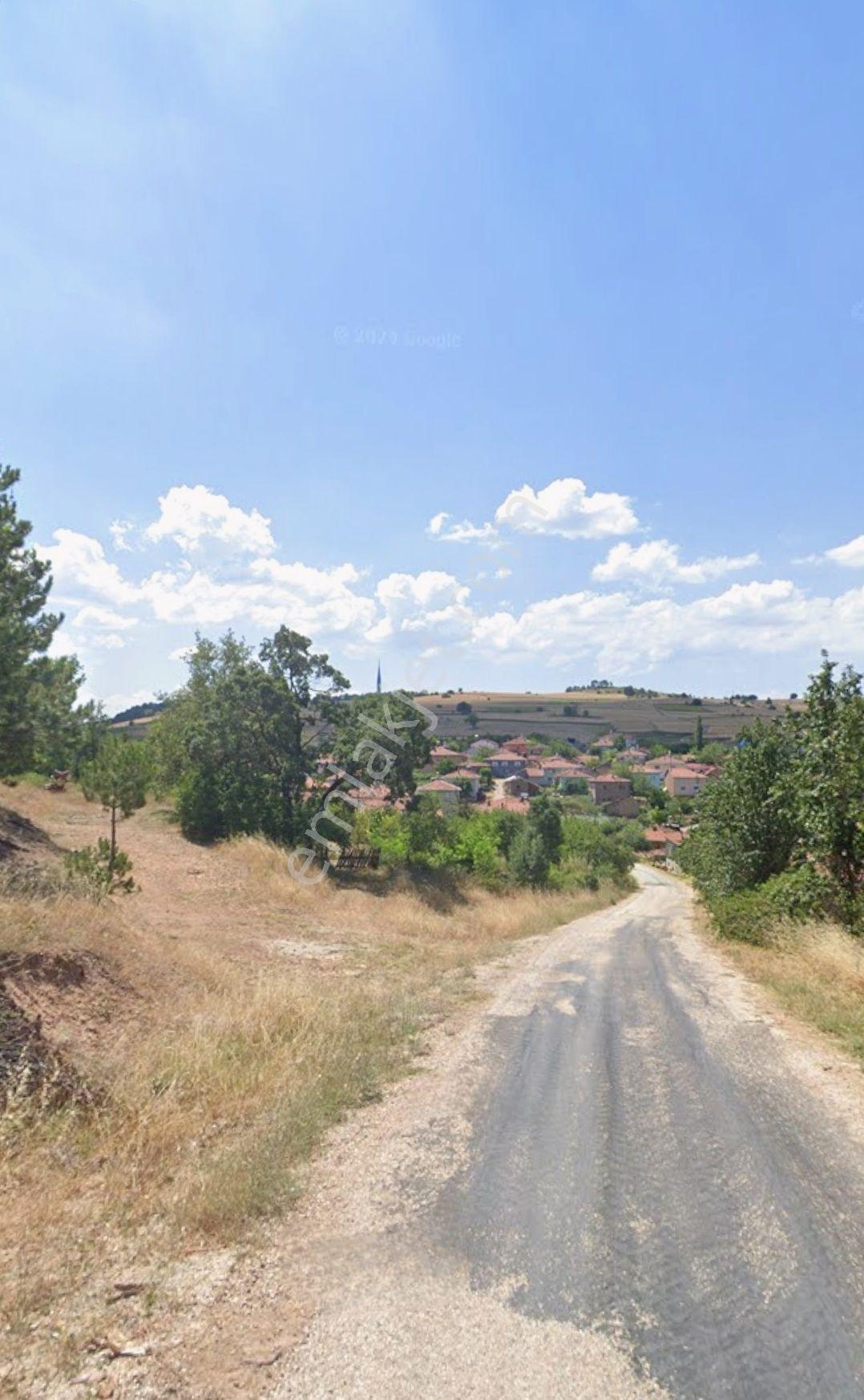 Dört Buçuk Dönüm Fırsat Tarla - Görsel 2