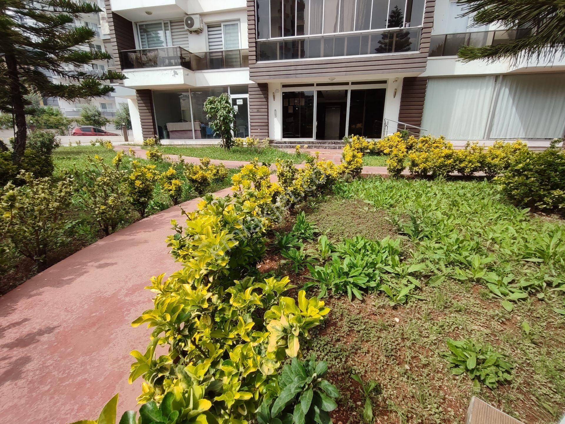 Sayapark Ve Üniversite Yakını Site İçi Eşyalı 1+1 Kiralık Daire