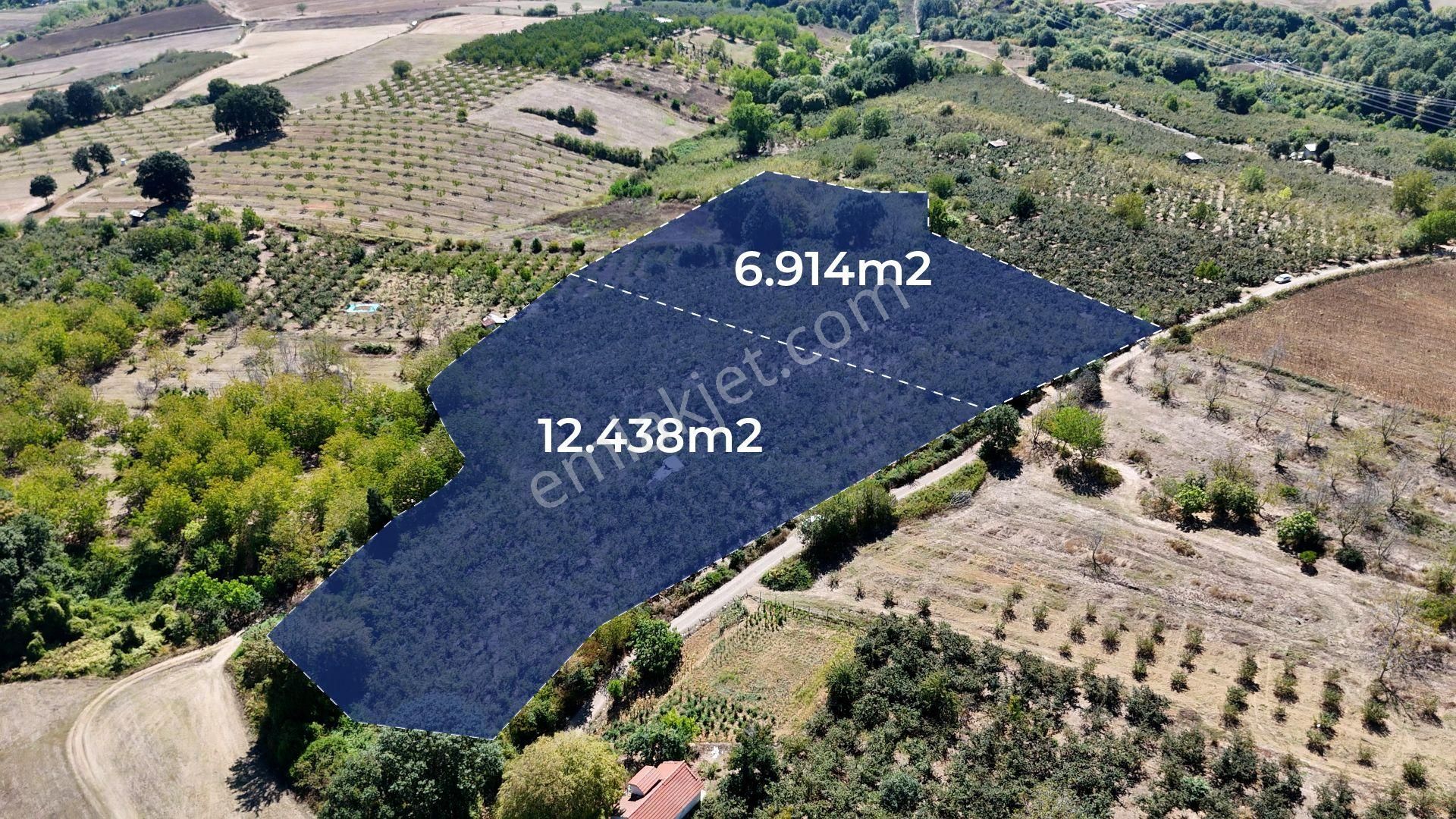 İzmit Akmeşe Satılık 19.352 M2 Değerli Arazi Ve Fındıklık