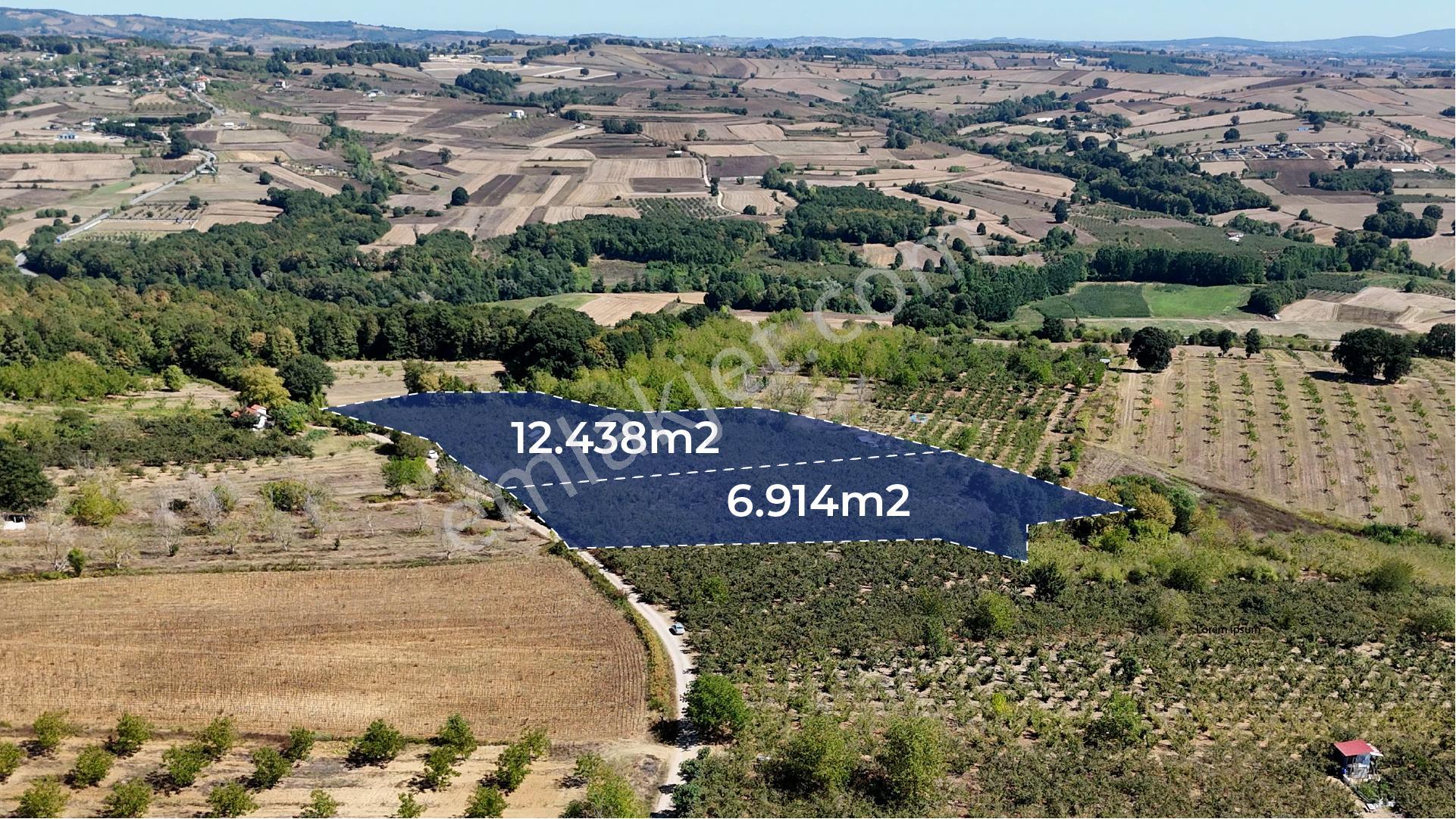 İzmit Akmeşe Satılık 19.352 M2 Değerli Arazi Ve Fındıklık - Görsel 7