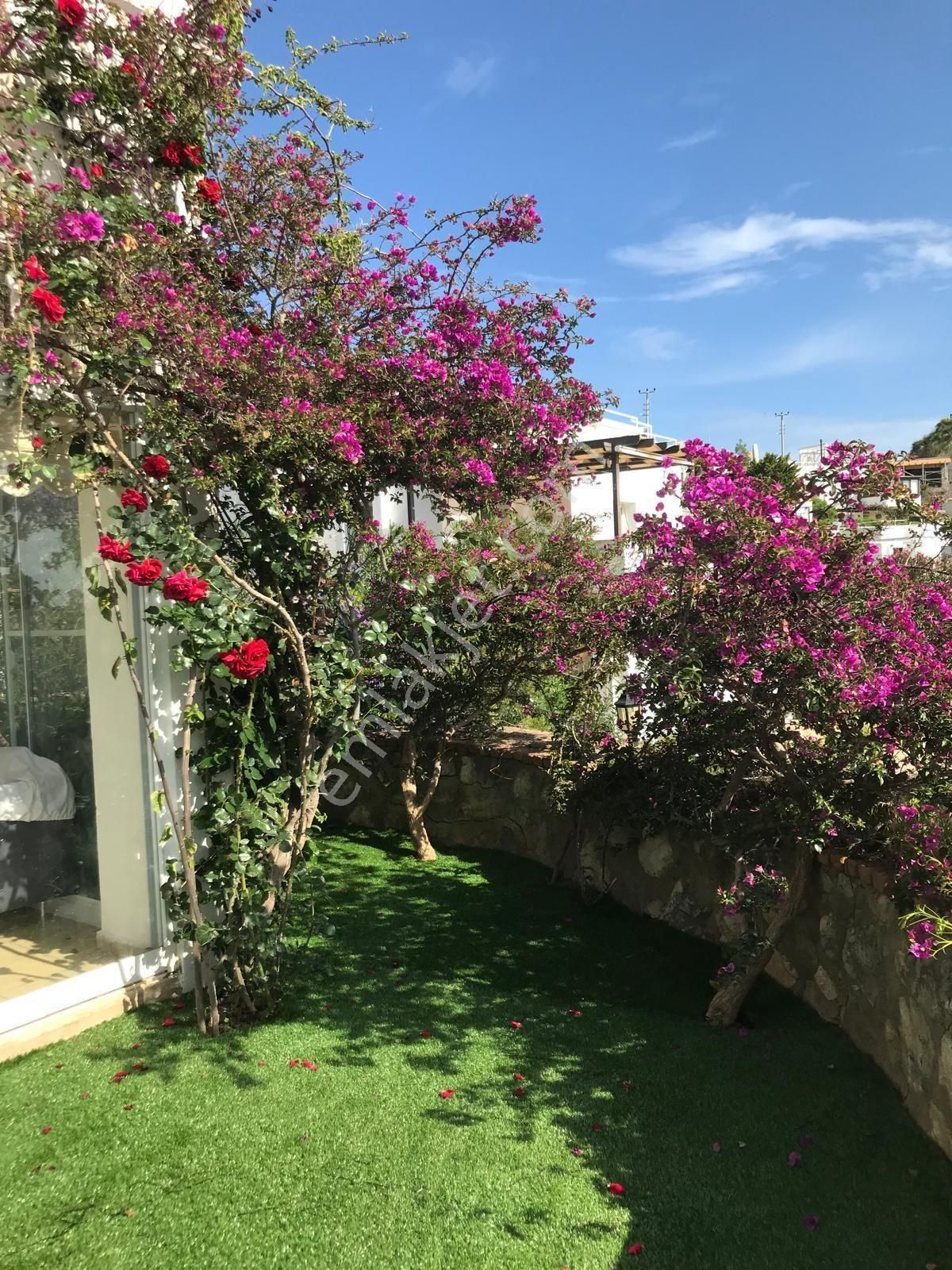 Bodrum Gümüşlük Koyunbaba Satılık 2+1 Bahçe Katı Daire - Görsel 21