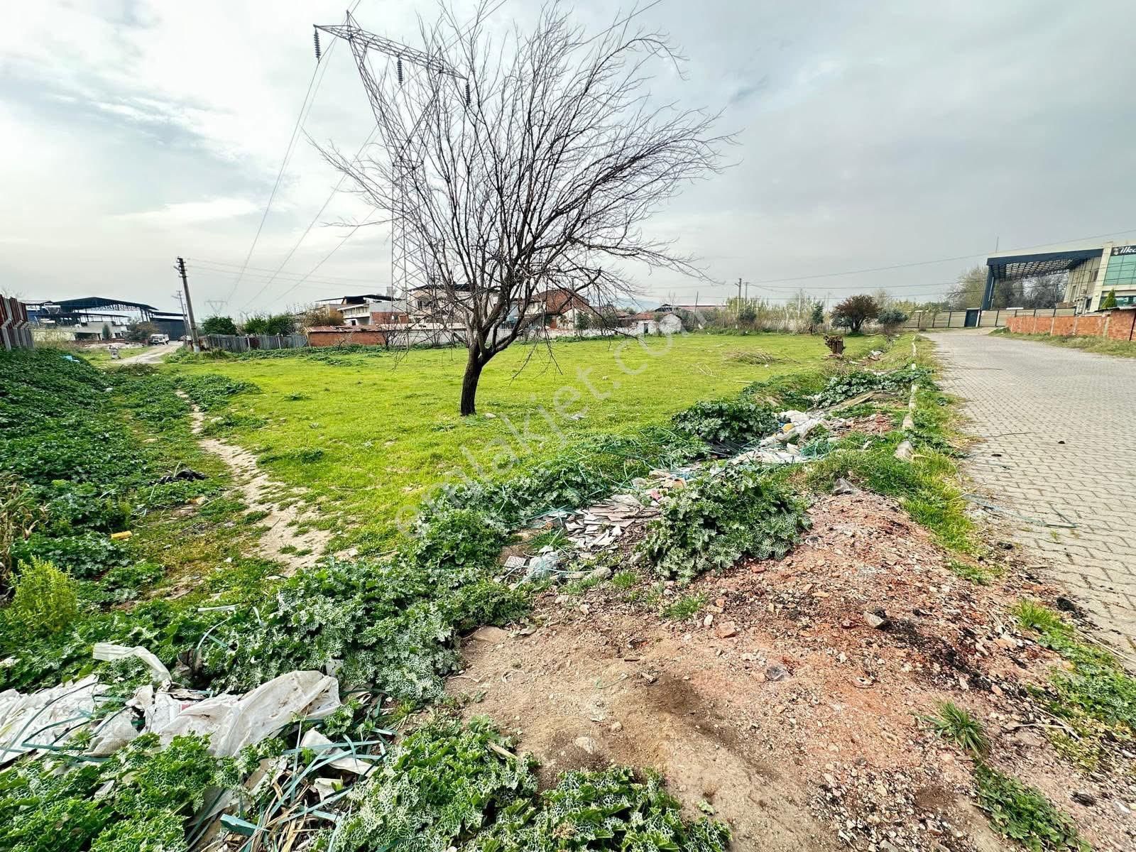 📍 Aydın / Nazilli – Sümer (yeni Sanayi) Mahallesi - Görsel 18