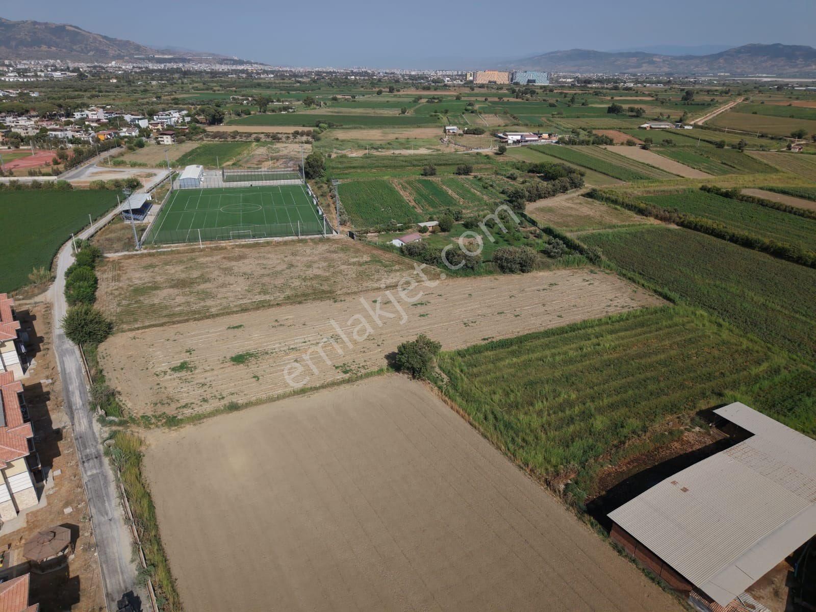 Aydın Efeler Kardeşköy De Satılık Tek Tapu Yola Cephe 7.360 M2 Tarla - Görsel 11