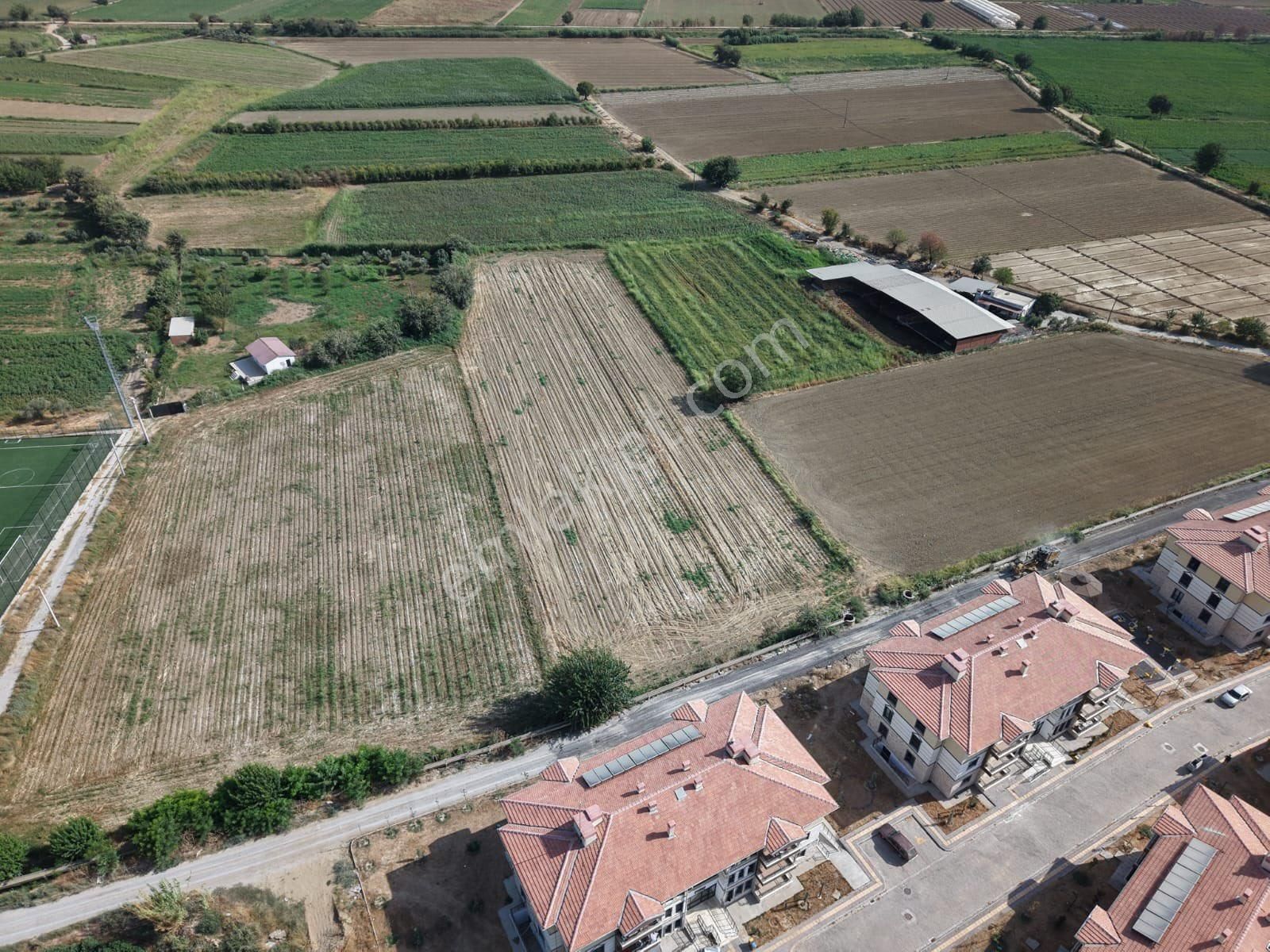 Aydın Efeler Kardeşköy De Satılık Tek Tapu Yola Cephe 7.360 M2 Tarla - Görsel 4