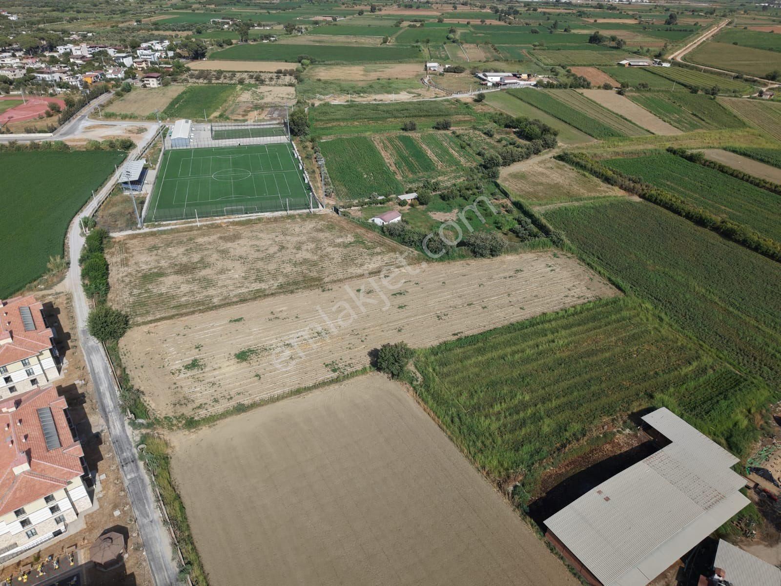 Aydın Efeler Kardeşköy De Satılık Tek Tapu Yola Cephe 7.360 M2 Tarla - Görsel 10