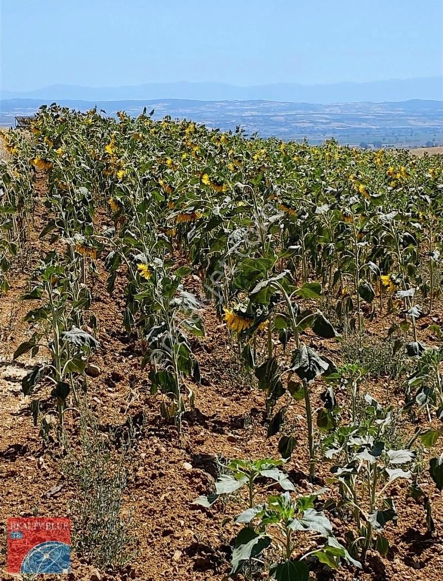 Yenişehir Kozderede Kaçırılmayacak Fırsat Mükemmel Hobi Bahçesi - Görsel 2