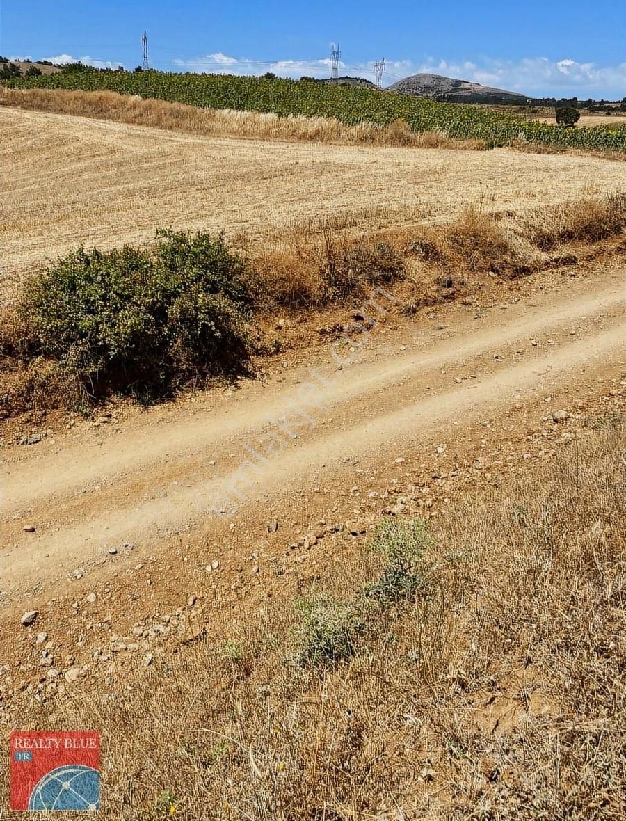 Yenişehir Kozderede Kaçırılmayacak Fırsat Mükemmel Hobi Bahçesi - Görsel 5